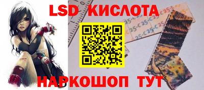 молекула духа Будённовск