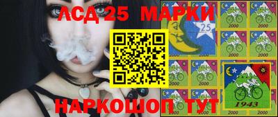 молекула духа Будённовск