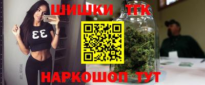 молекула духа Будённовск