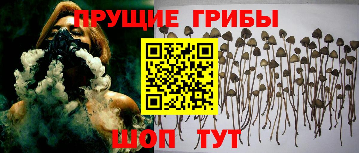 Псилоцибиновые грибы ЛСД  Вход с VPN  Пермь 