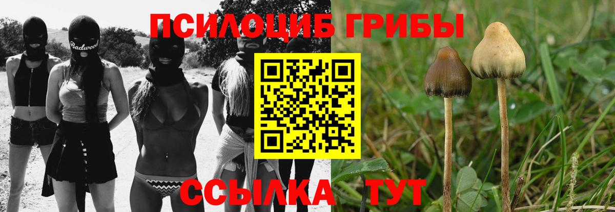 Галлюциногенные грибы прущие грибы Пермь